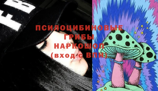 не бодяженный Алексин