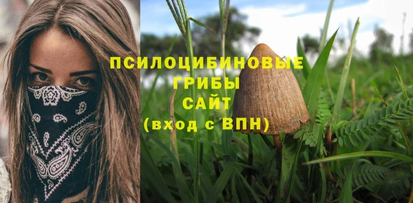 не бодяженный Алексин