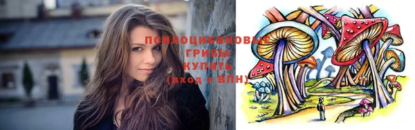 круглые Алексеевка