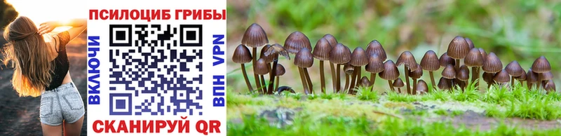 Псилоцибиновые грибы мухоморы Анапа