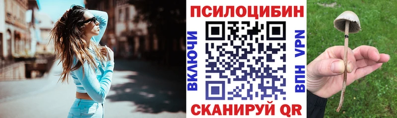 цены   Анапа  Псилоцибиновые грибы Psilocybe 