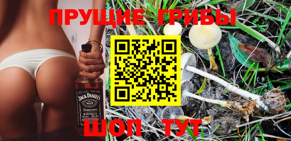 Псилоцибиновые грибы Psilocybine cubensis Анапа
